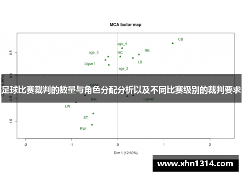 足球比赛裁判的数量与角色分配分析以及不同比赛级别的裁判要求